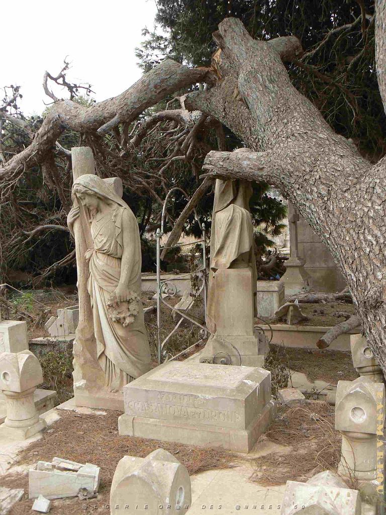 ORAN 2009 THAMASHOUET  statue epargnee .jpg